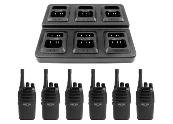 BizTalk BR200 Six (6) Radio Bundle