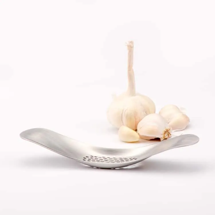 Stylish Stainless Steel Garlic Press