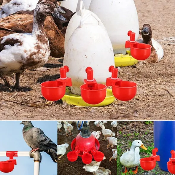 utomatic poultry drinking fountain