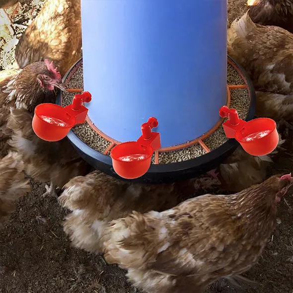 utomatic poultry drinking fountain