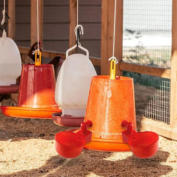 utomatic poultry drinking fountain