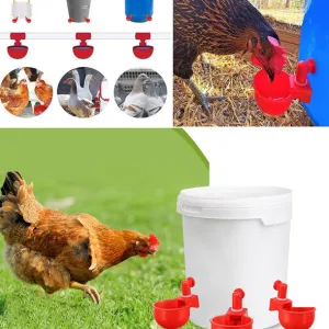 utomatic poultry drinking fountain
