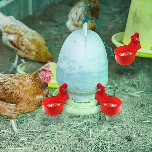 utomatic poultry drinking fountain